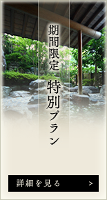 期間限定　特別プラン 詳細を見る
